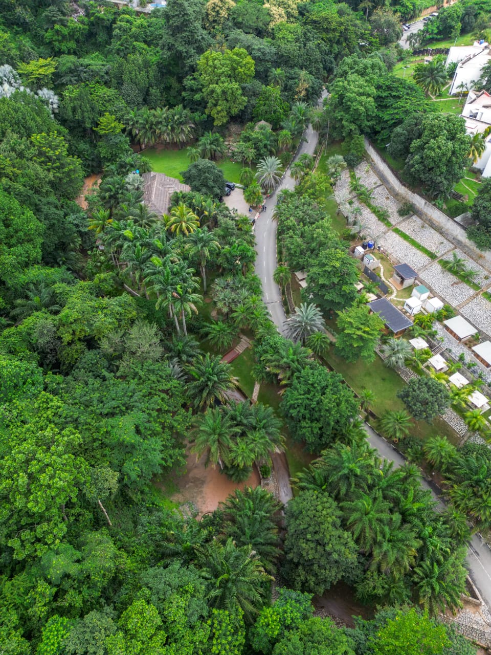 Sarius Palmetum aerial view